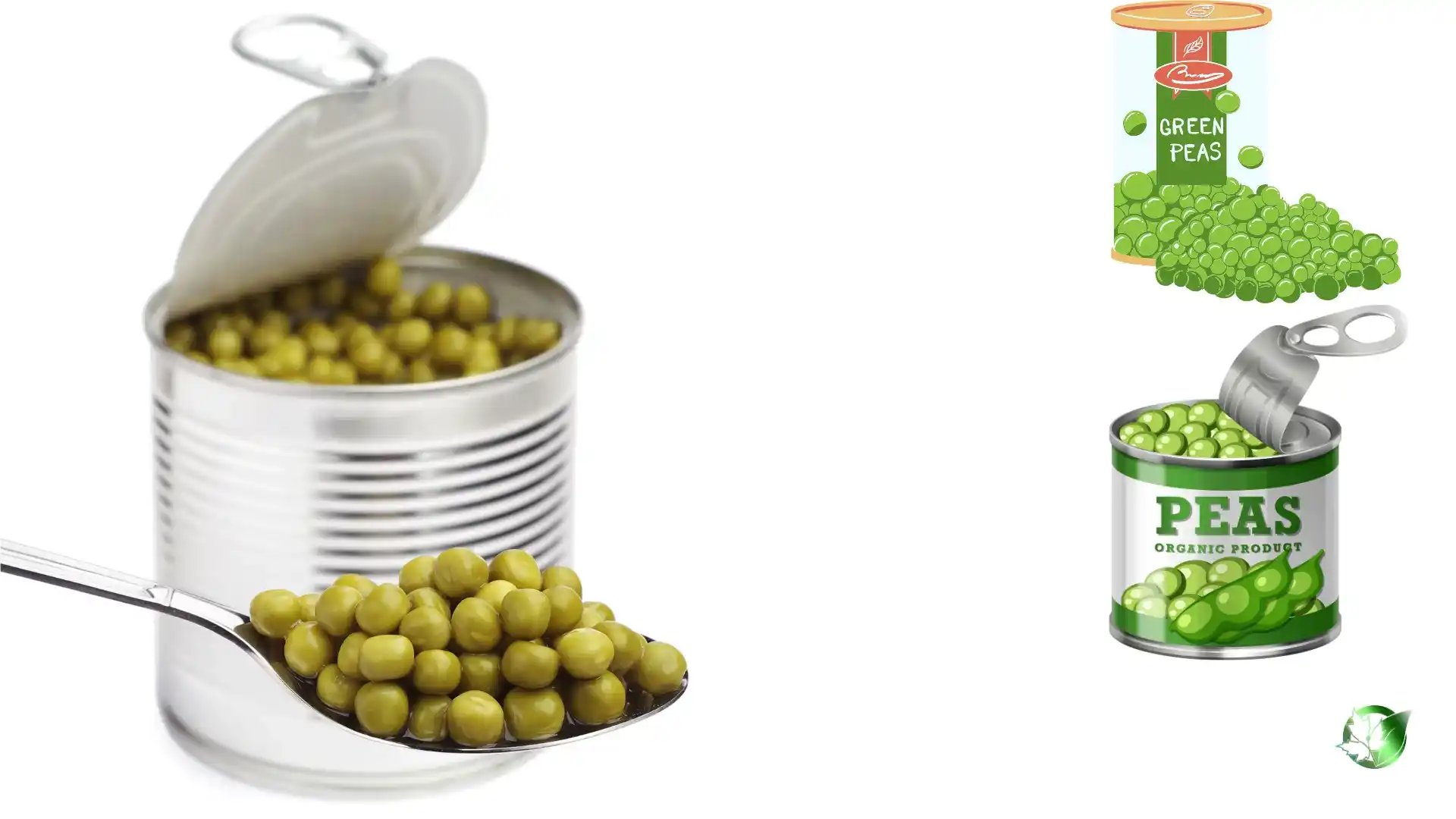 Canned Green Peas quality, format, and packaging should be matched to the buyer’s target application.